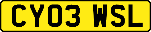 CY03WSL