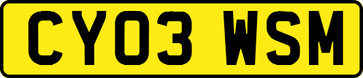 CY03WSM