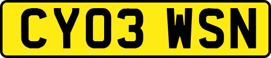 CY03WSN