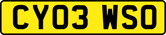 CY03WSO