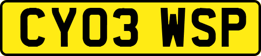 CY03WSP