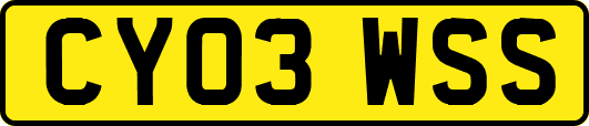 CY03WSS