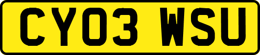 CY03WSU
