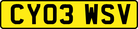 CY03WSV