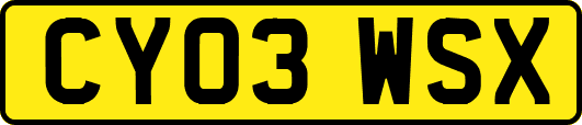 CY03WSX
