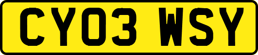 CY03WSY
