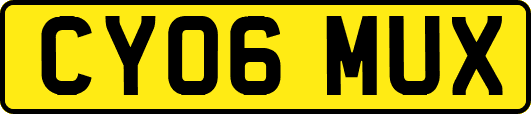 CY06MUX