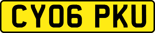 CY06PKU