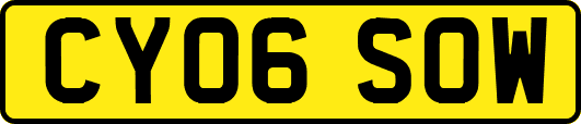 CY06SOW