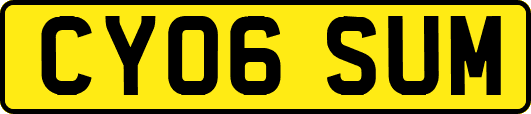 CY06SUM