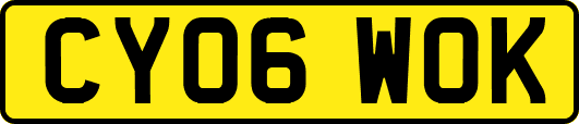 CY06WOK