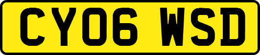 CY06WSD