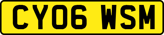 CY06WSM