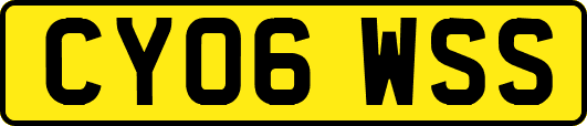 CY06WSS
