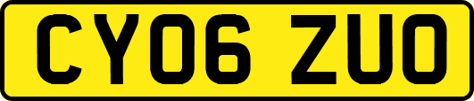 CY06ZUO