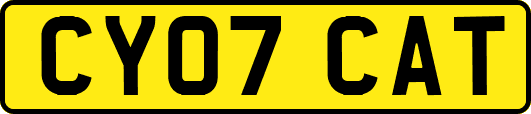 CY07CAT
