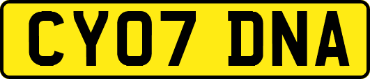 CY07DNA