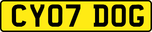 CY07DOG