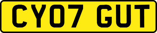 CY07GUT
