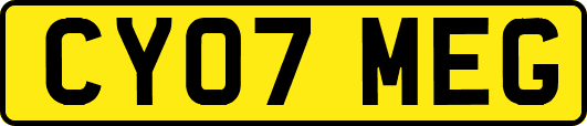 CY07MEG