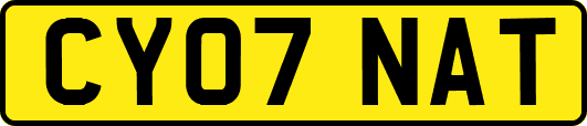 CY07NAT