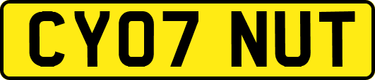 CY07NUT