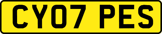CY07PES