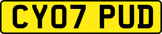 CY07PUD