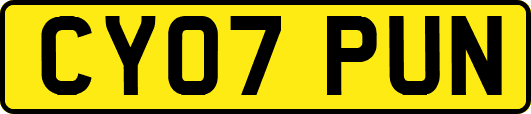 CY07PUN