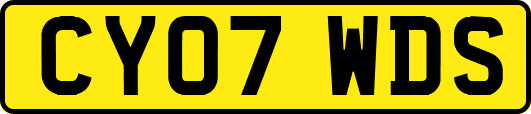 CY07WDS