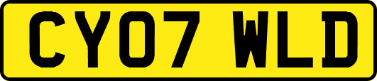 CY07WLD