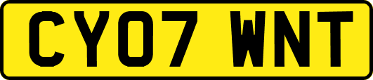 CY07WNT