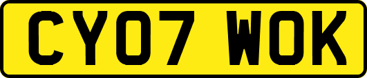CY07WOK