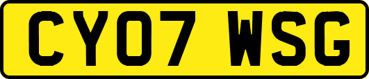 CY07WSG