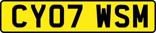 CY07WSM