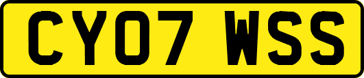 CY07WSS