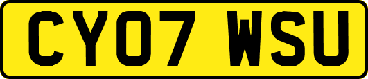 CY07WSU