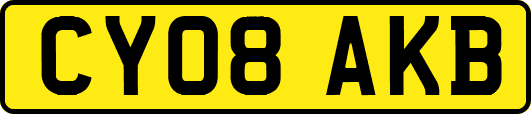 CY08AKB