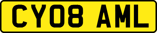 CY08AML