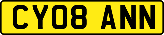 CY08ANN