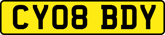 CY08BDY