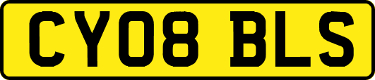 CY08BLS