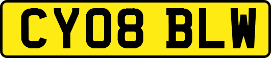 CY08BLW