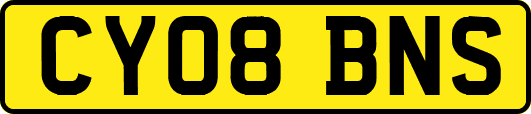 CY08BNS