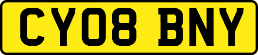 CY08BNY
