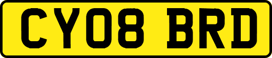 CY08BRD