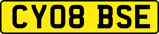 CY08BSE