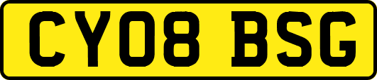 CY08BSG