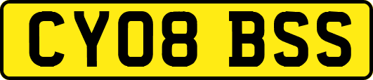 CY08BSS