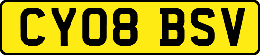 CY08BSV